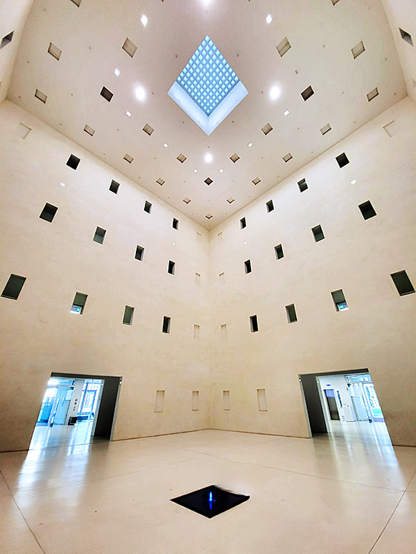 Bibliothek - D. Rohm