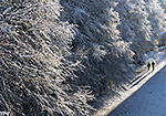 Winterspaziergang - H. Gutbier